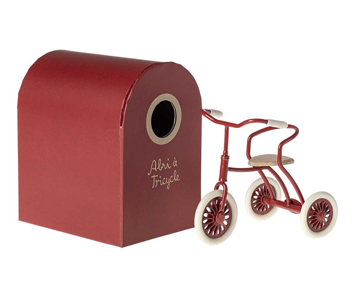 Tricycle in Various Colors