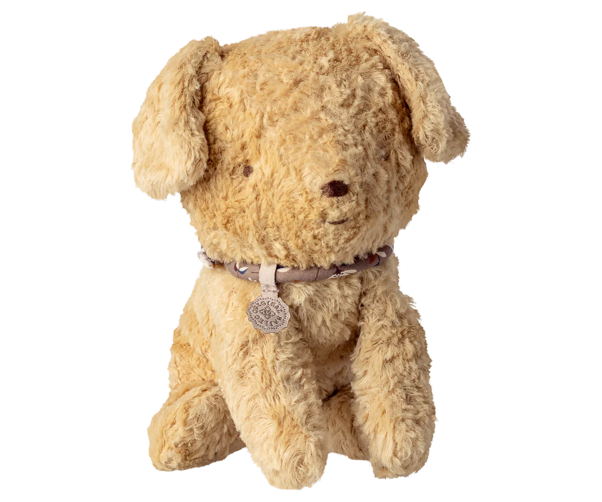 Small Puppy, Soft Sand