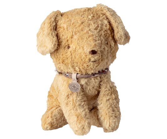 Small Puppy, Soft Sand