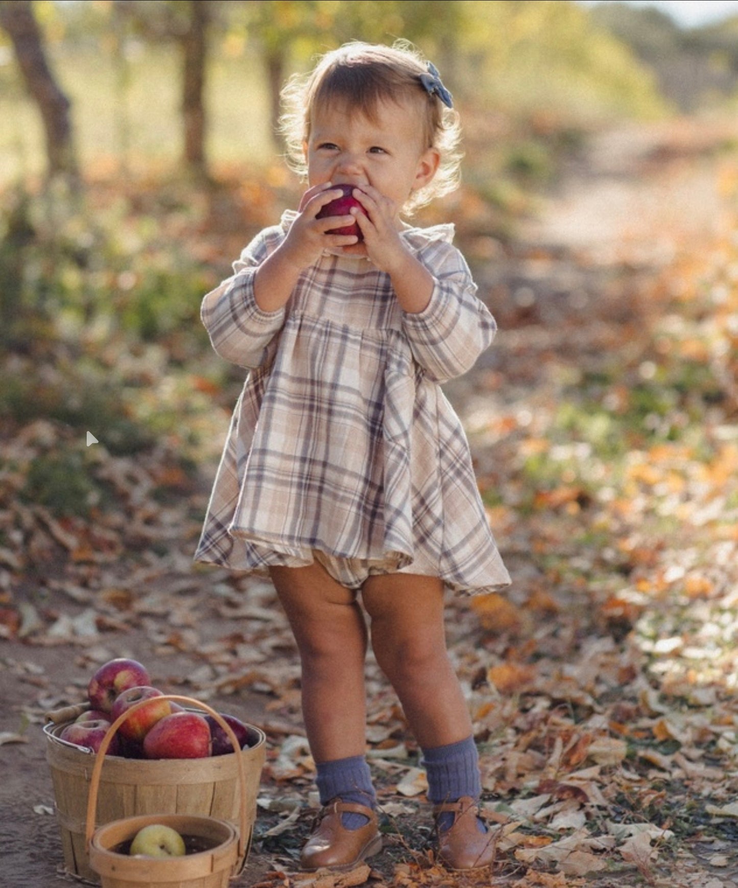 Fall Plaid Simone Dress