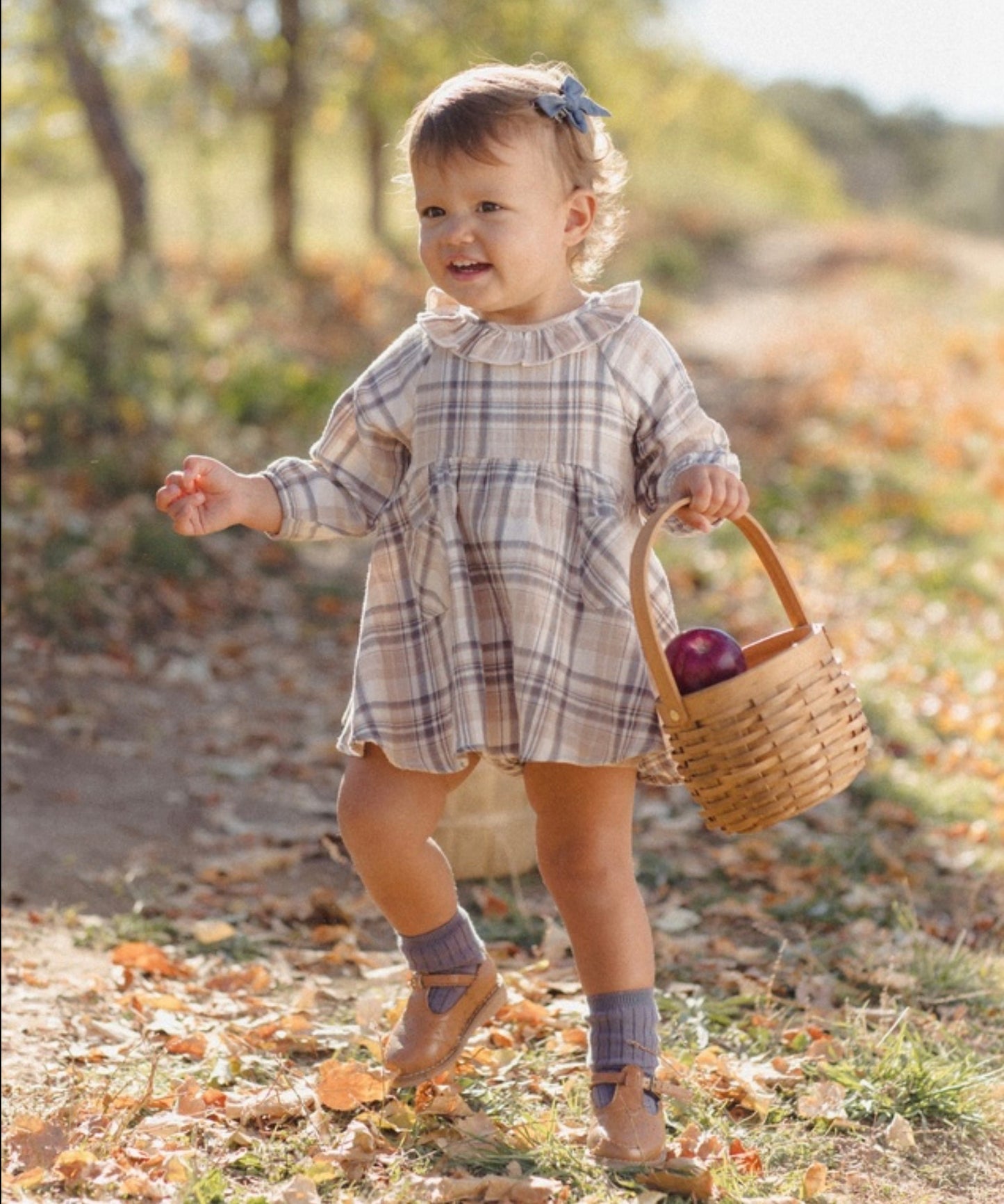 Fall Plaid Simone Dress