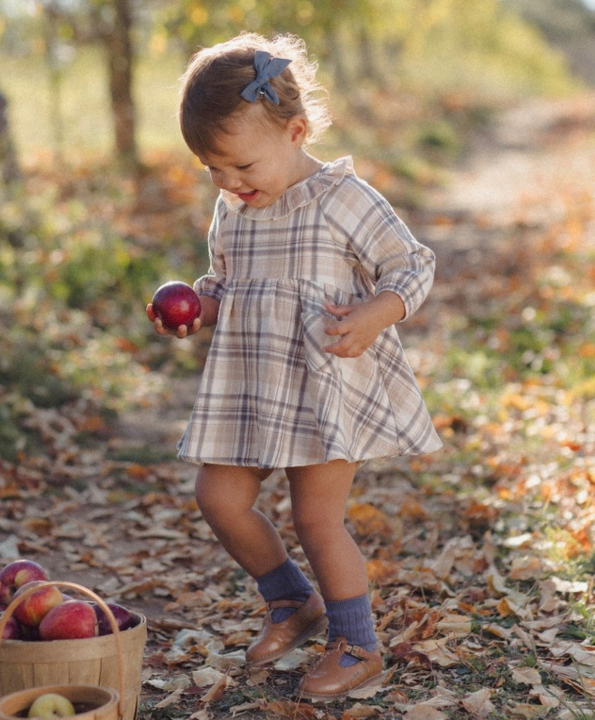 Fall Plaid Simone Dress