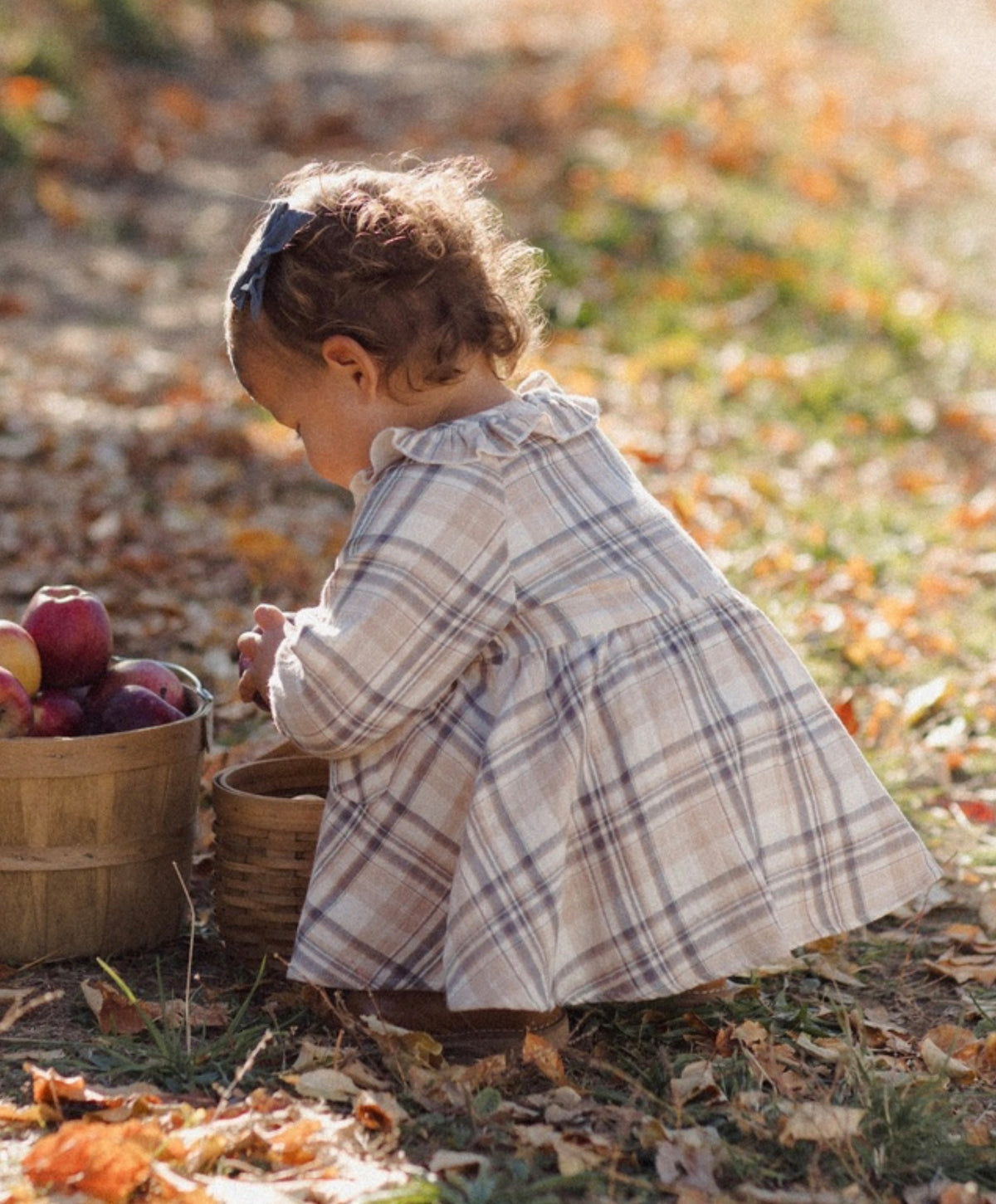 Fall Plaid Simone Dress