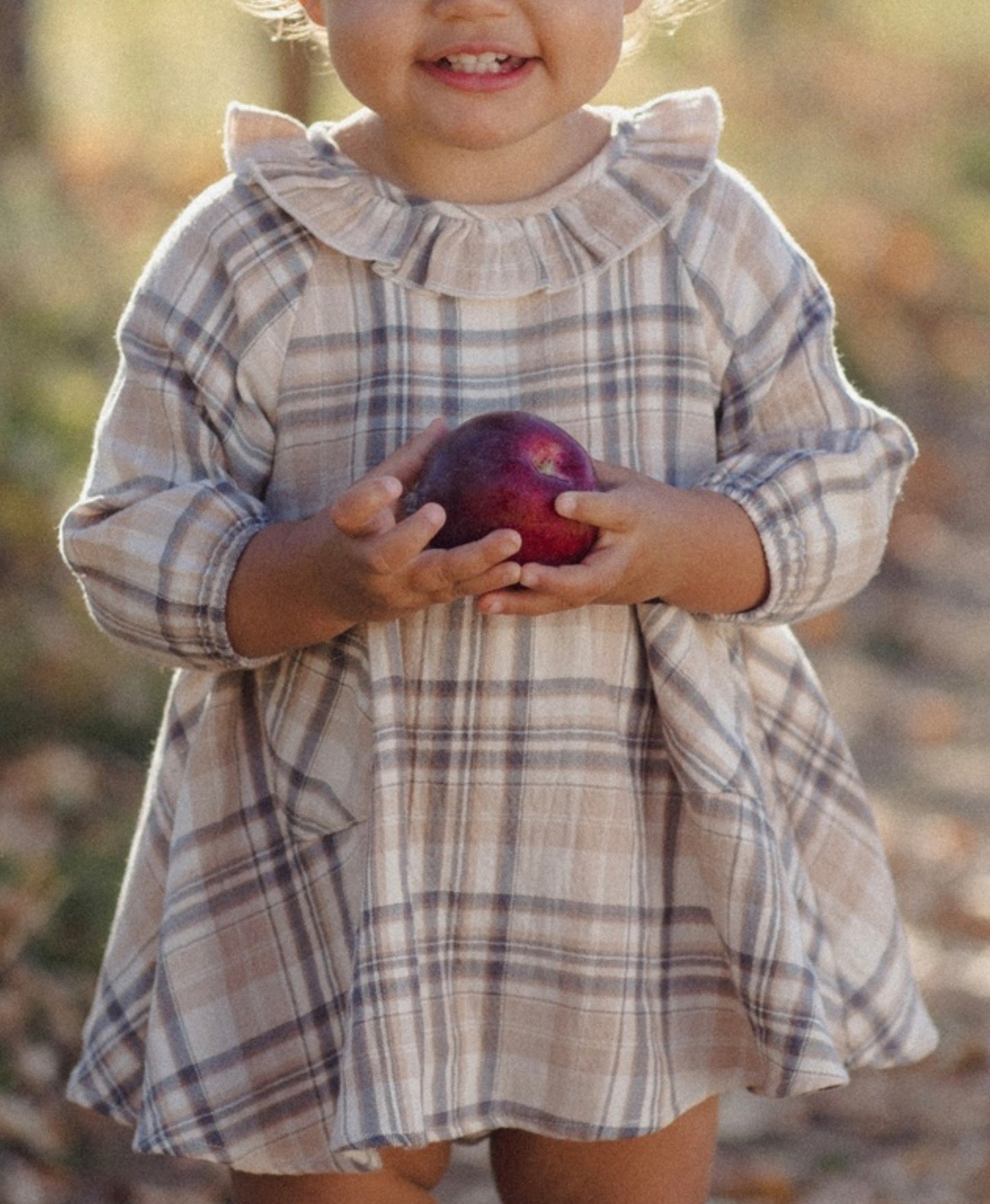 Fall Plaid Simone Dress