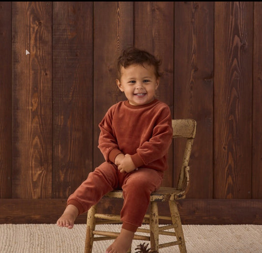 Redwood Velour Relaxed Sweatshirt