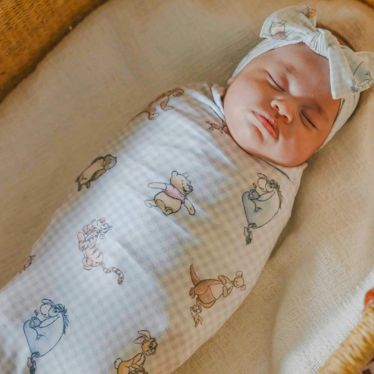 Winnie the Pooh & Friends Knit Swaddle Blanket