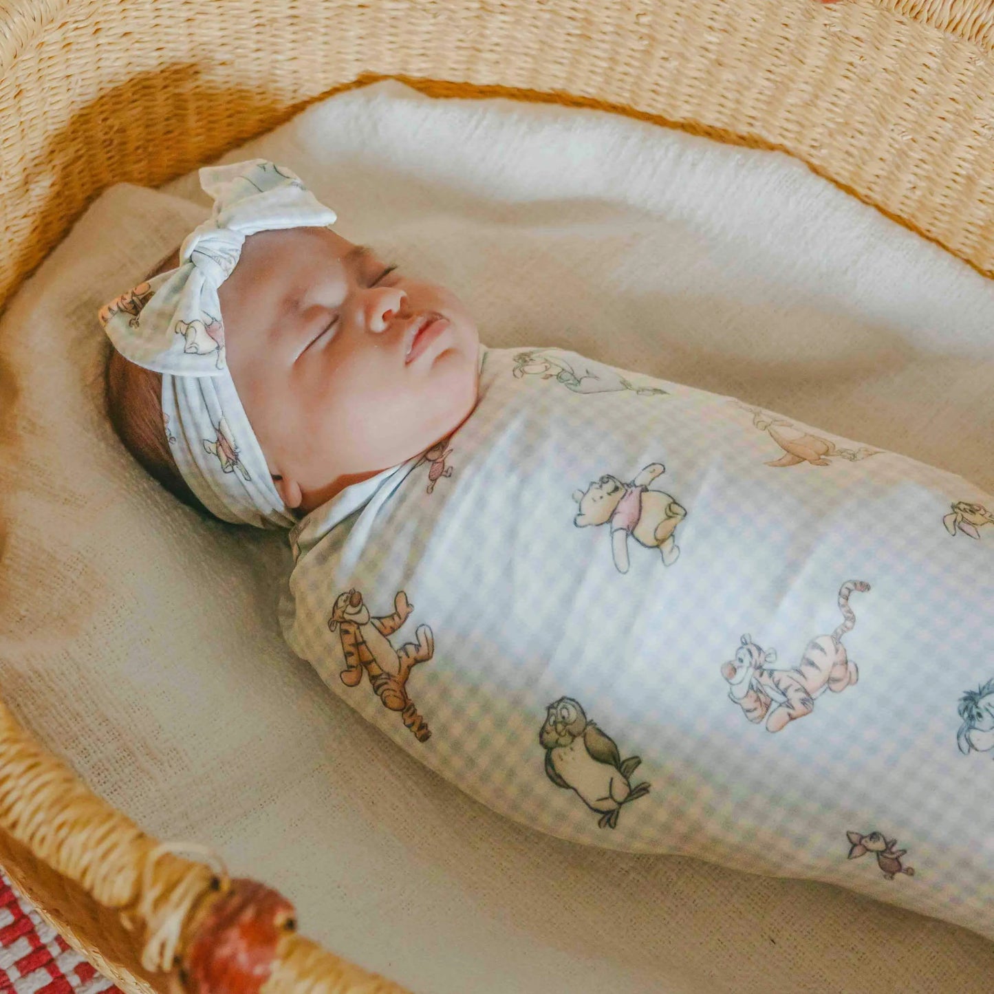 Winnie the Pooh & Friends Knit Swaddle Blanket