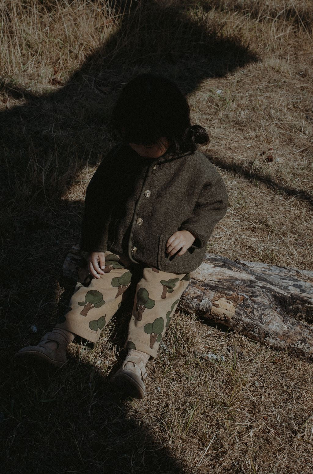 Tree Traveler Pants