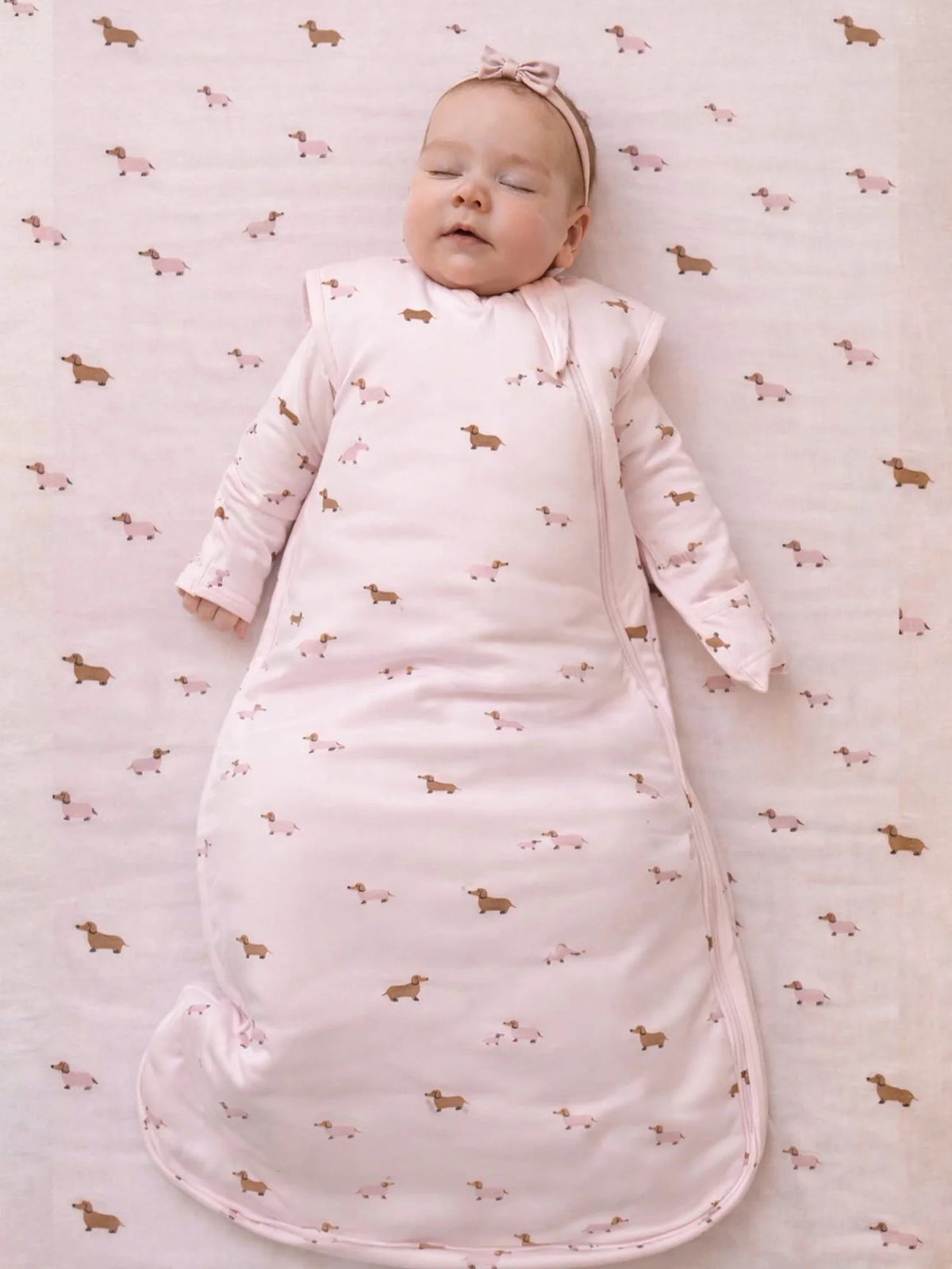 Transitional Swaddle Bag
