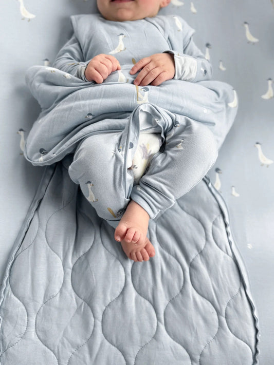 Transitional Swaddle Bag