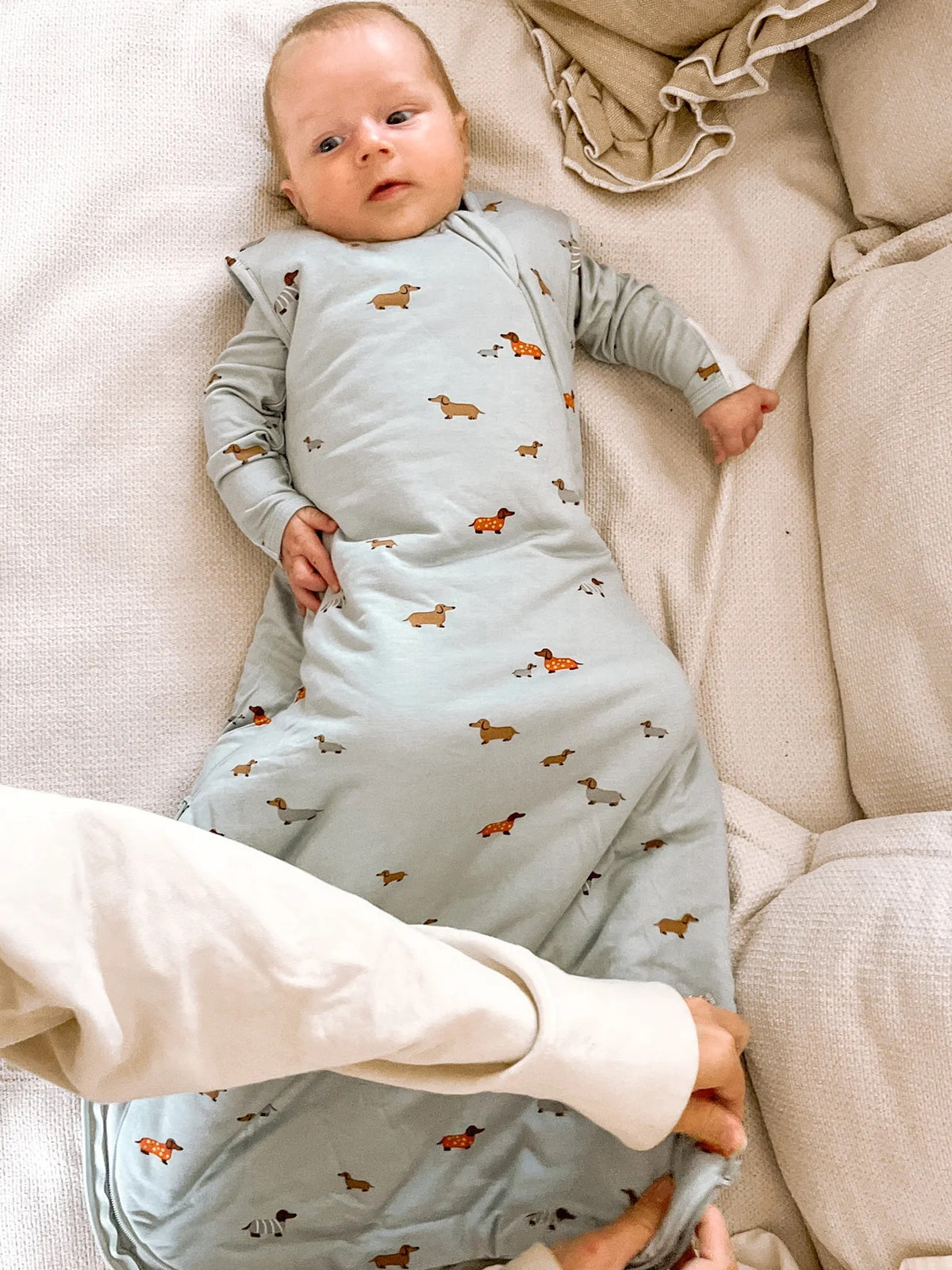 Transitional Swaddle Bag