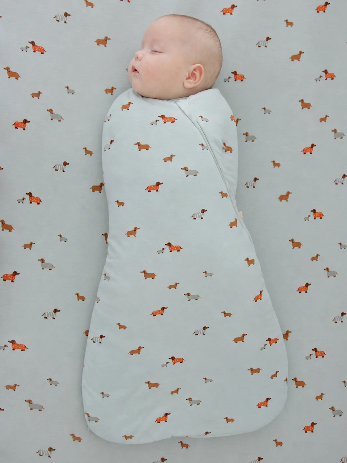 Swaddle Sleep Bag
