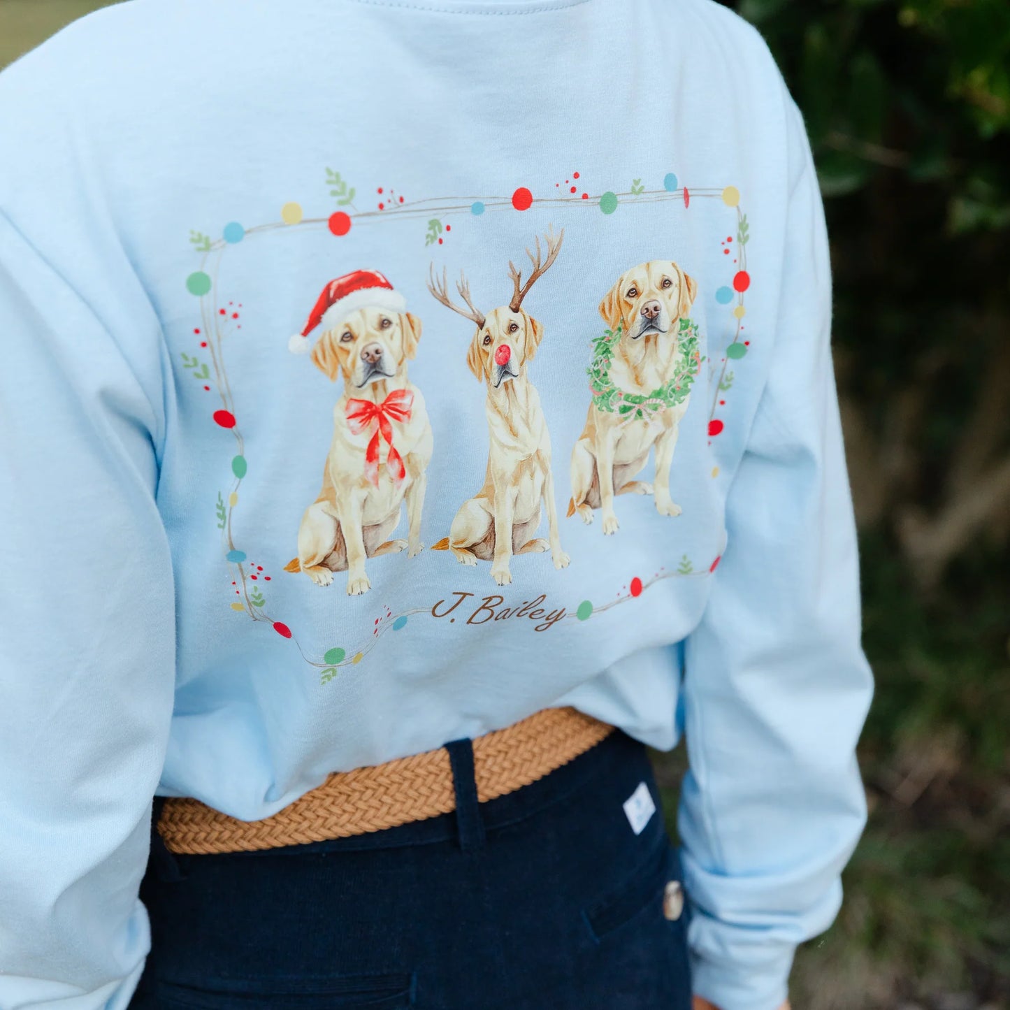 Christmas Labs on Lt Blue