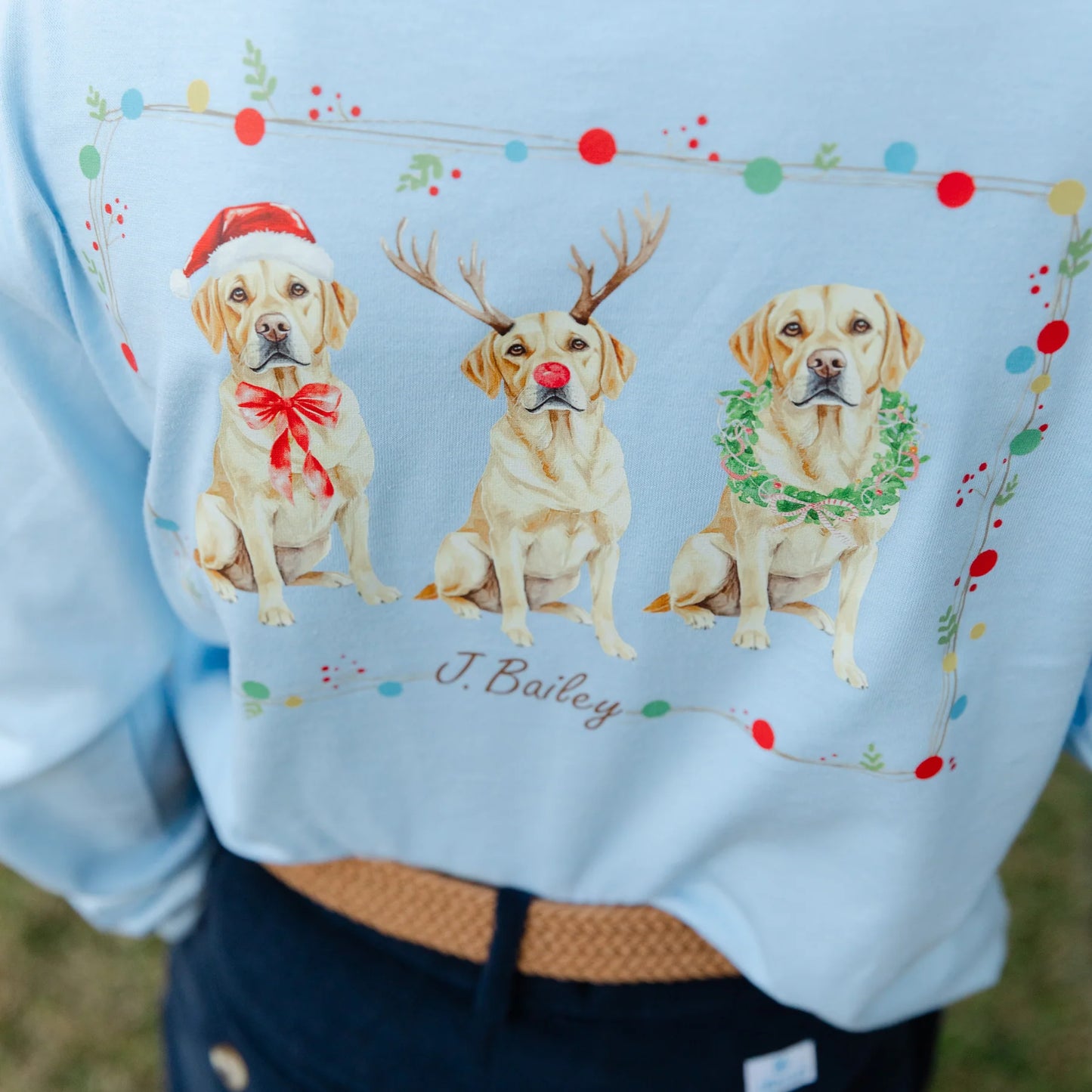 Christmas Labs on Lt Blue