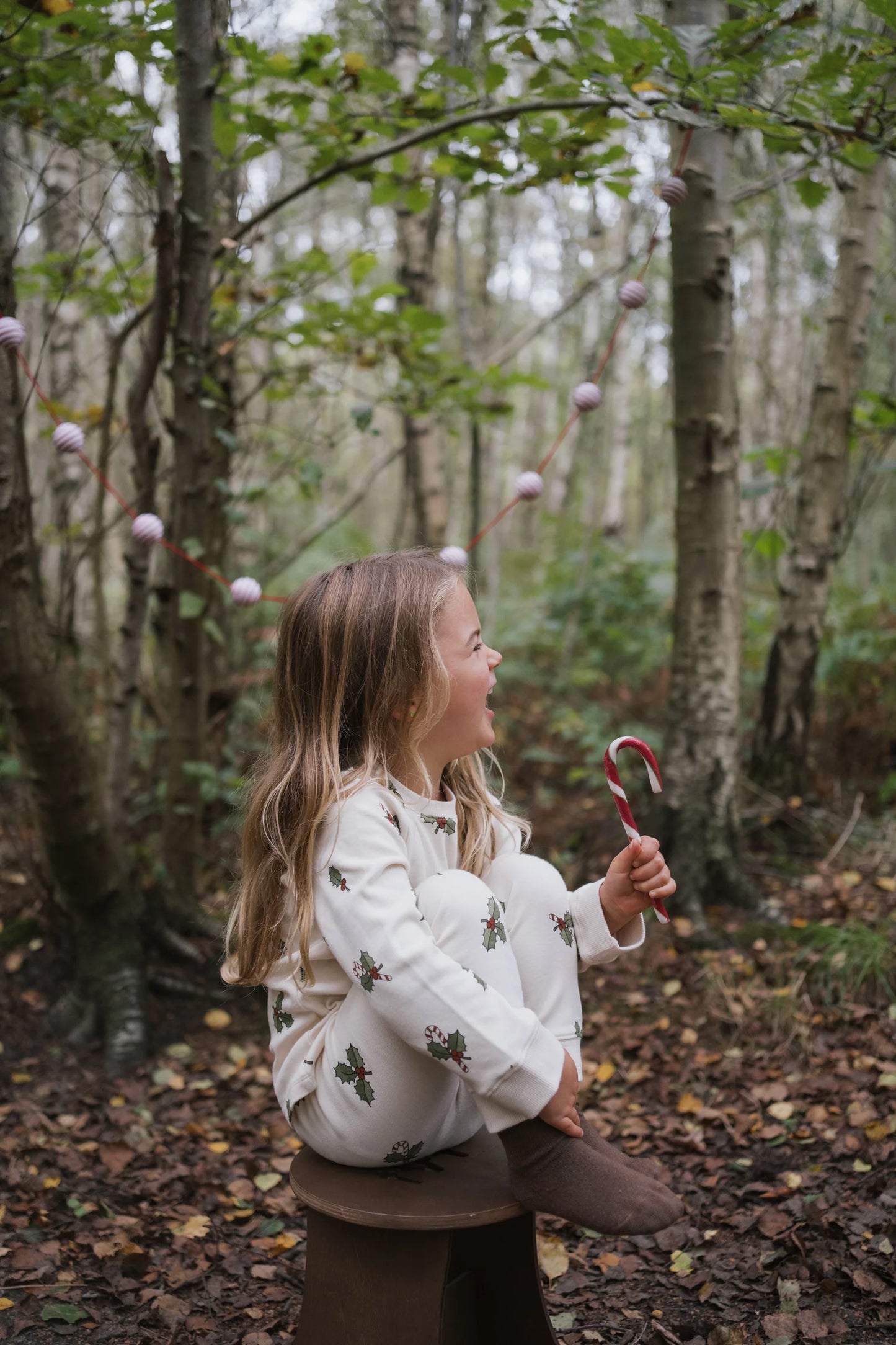 Christmas Holly Sweatshirt