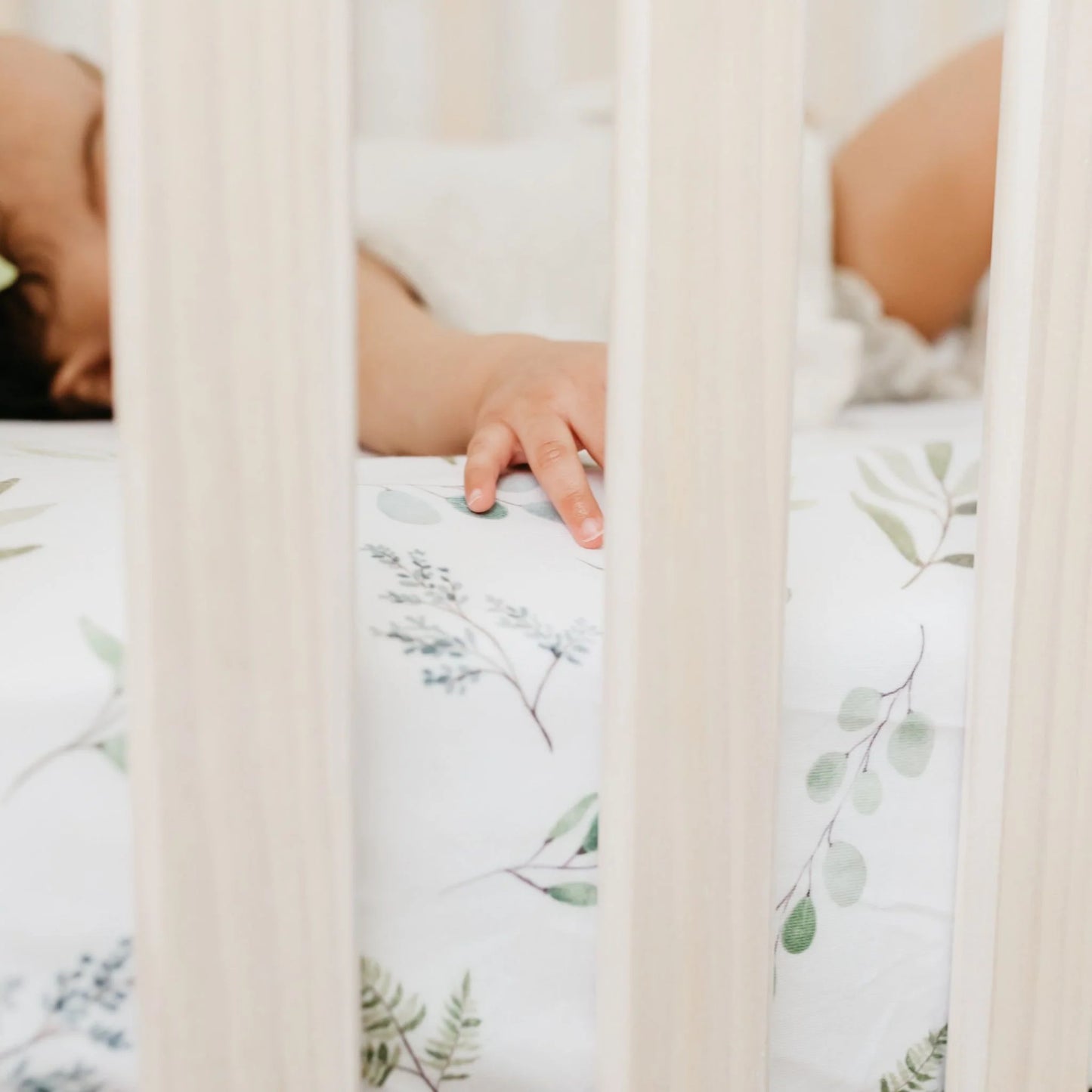 Haven Premium Crib Sheet