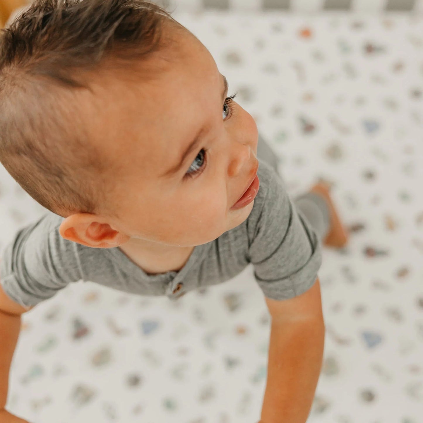 Wizarding World Premium Crib Sheet