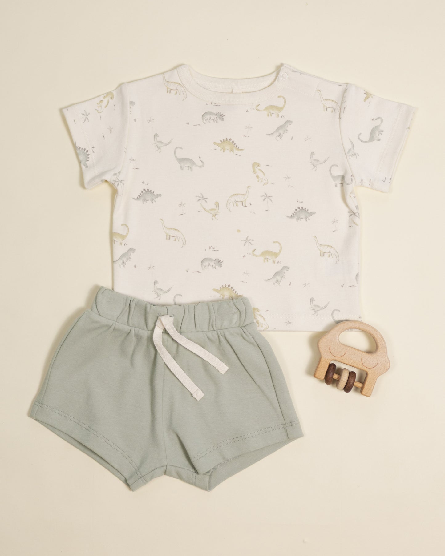 Boxy Dinosaur Tee