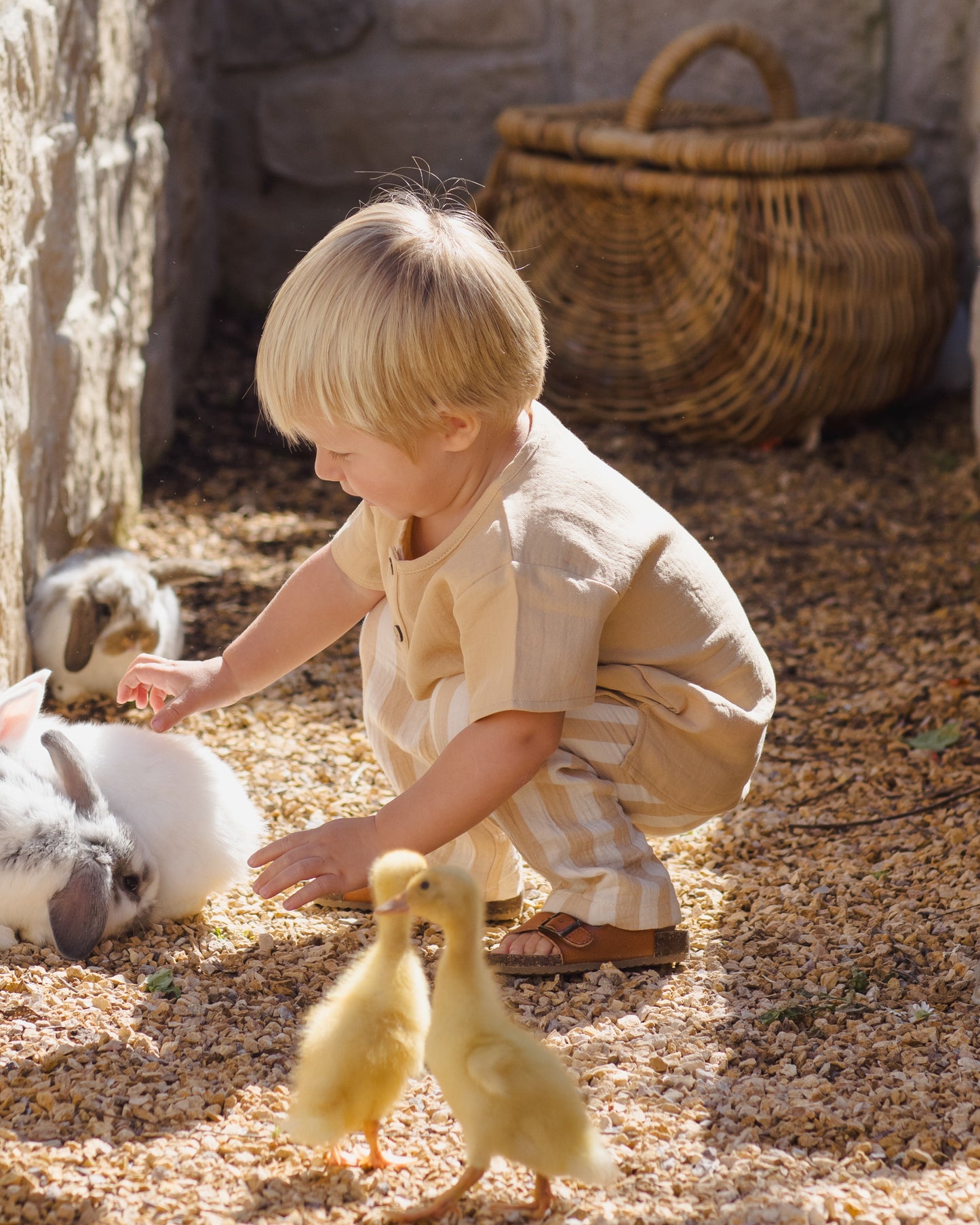 Summer Stripe Henry Pants