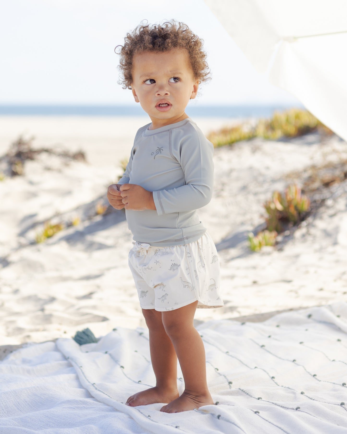 Boys’ Dinosaur Swim Shorts