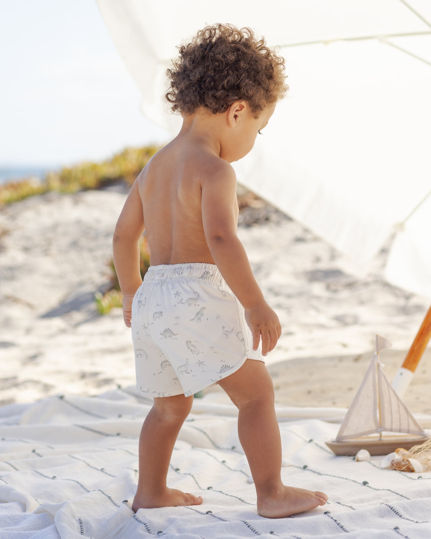 Boys’ Dinosaur Swim Shorts