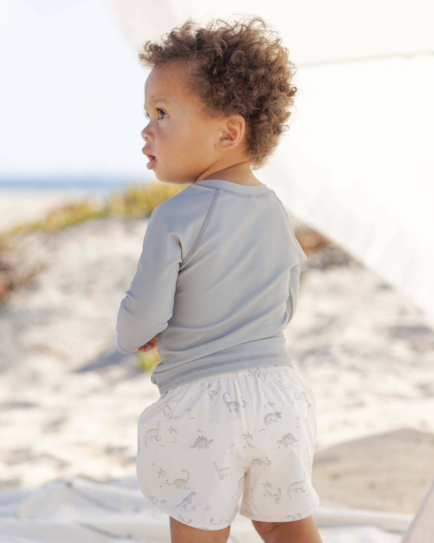 Boys’ Dinosaur Swim Shorts