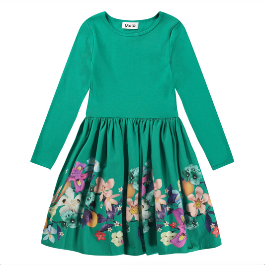 Casie Colourful Garden LS Dress