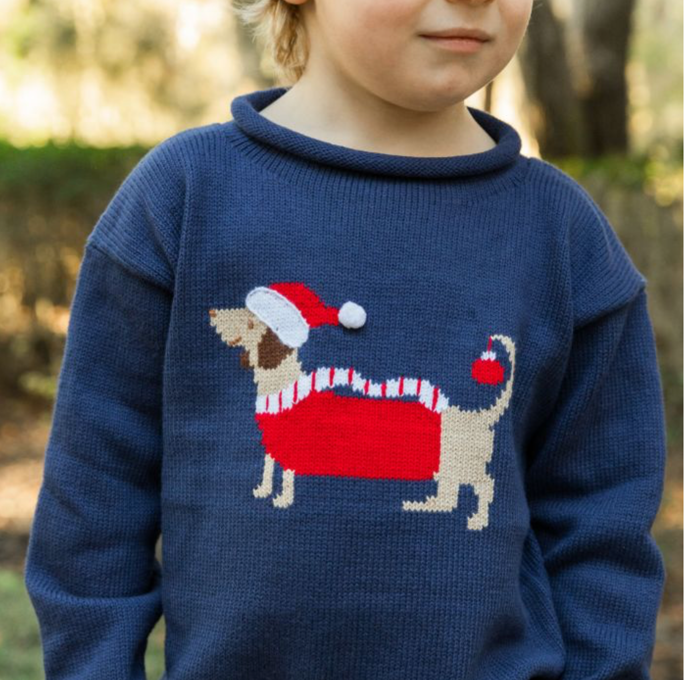 Doxie on Navy Sweater