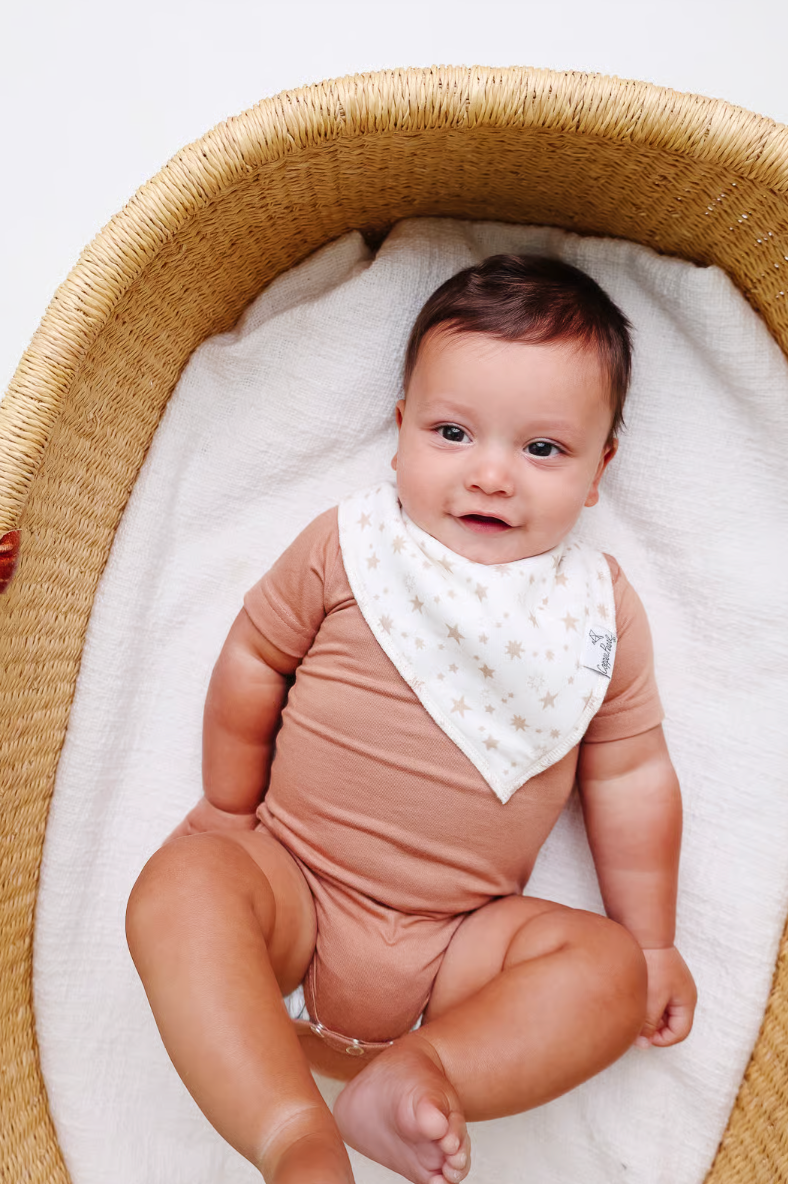 Jolly Bandana Bib Set