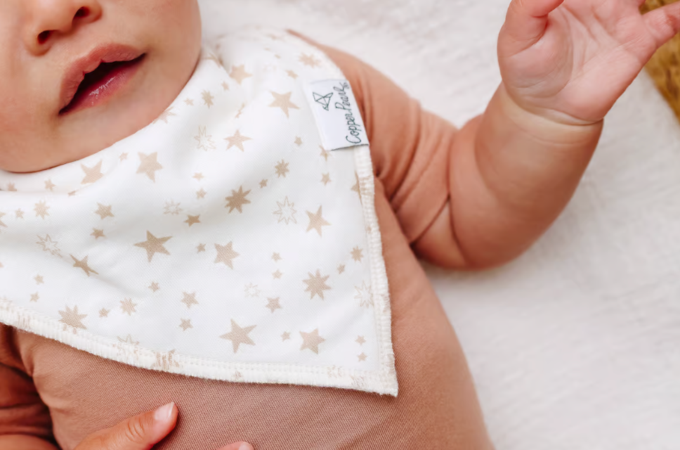 Jolly Bandana Bib Set