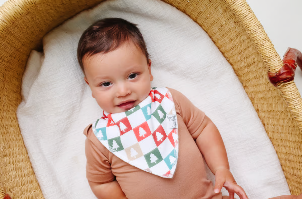 Jolly Bandana Bib Set