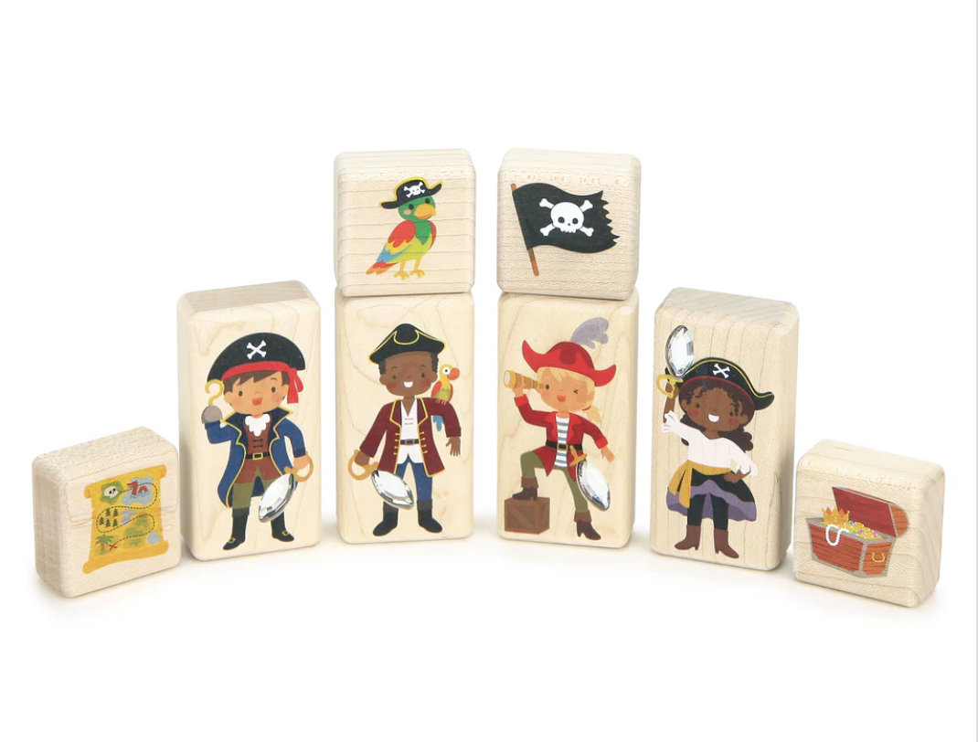 LIMITED! Pirate Friends Gem Block Set