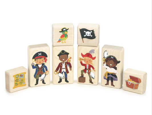 LIMITED! Pirate Friends Gem Block Set