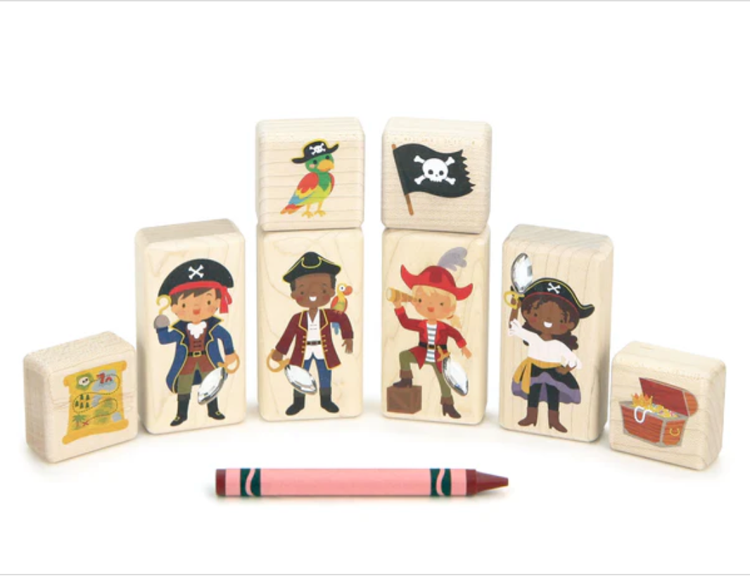 LIMITED! Pirate Friends Gem Block Set