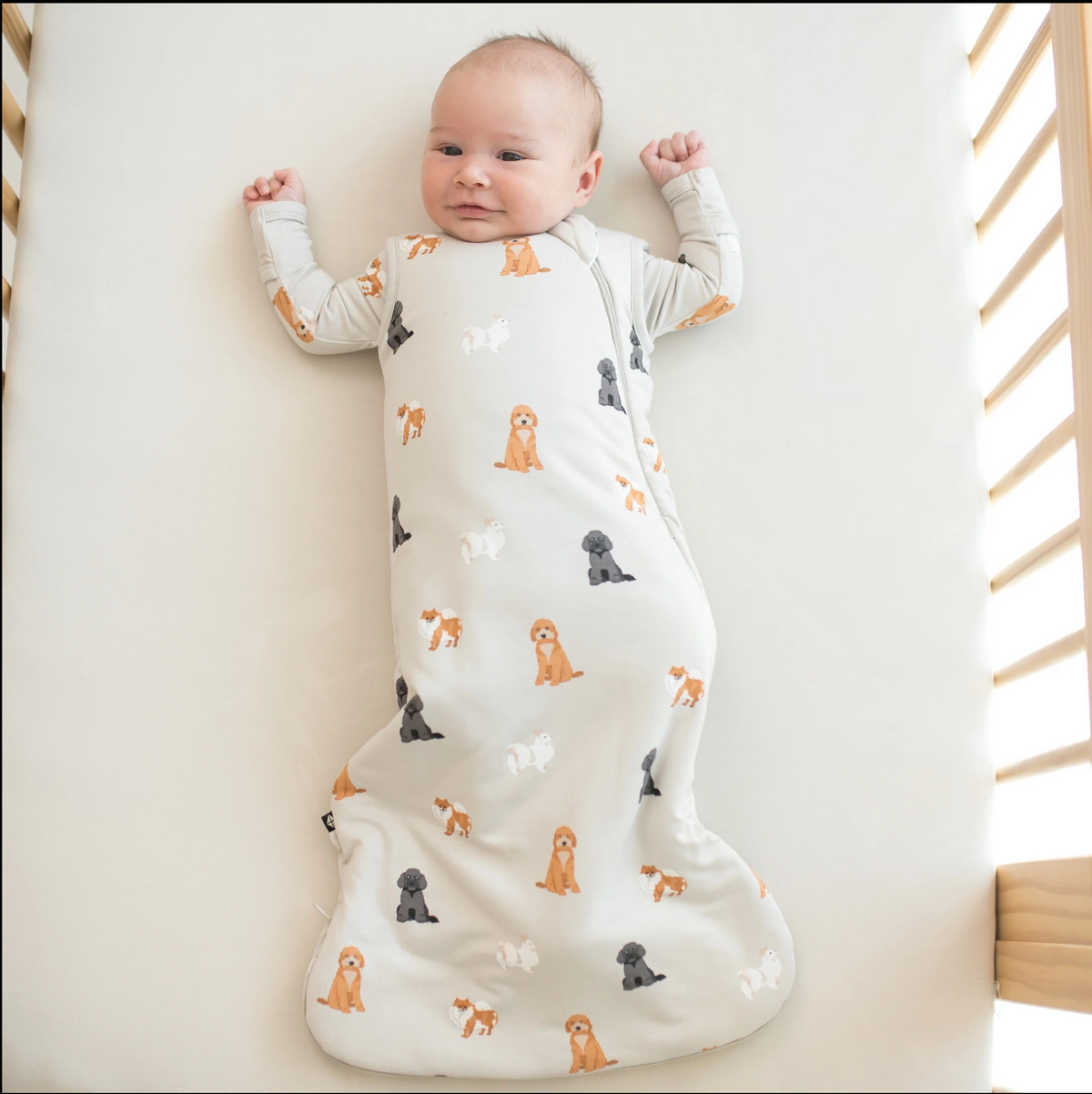 Kyte 1.0 Tog Fluffy Dog Sleep Bag