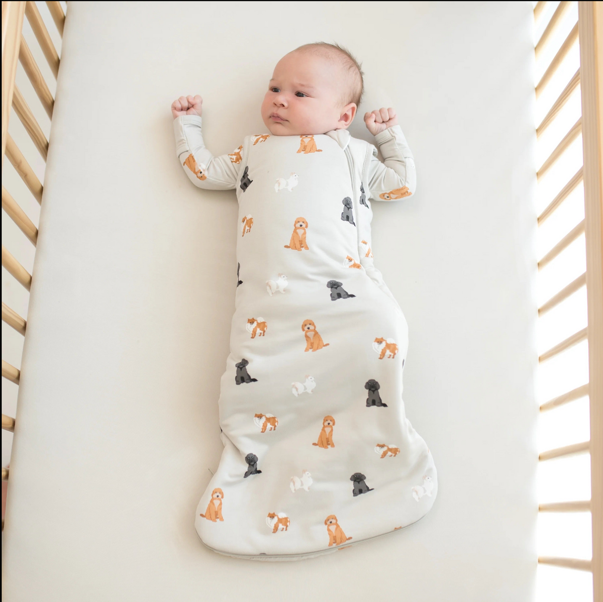 Kyte 1.0 Tog Fluffy Dog Sleep Bag