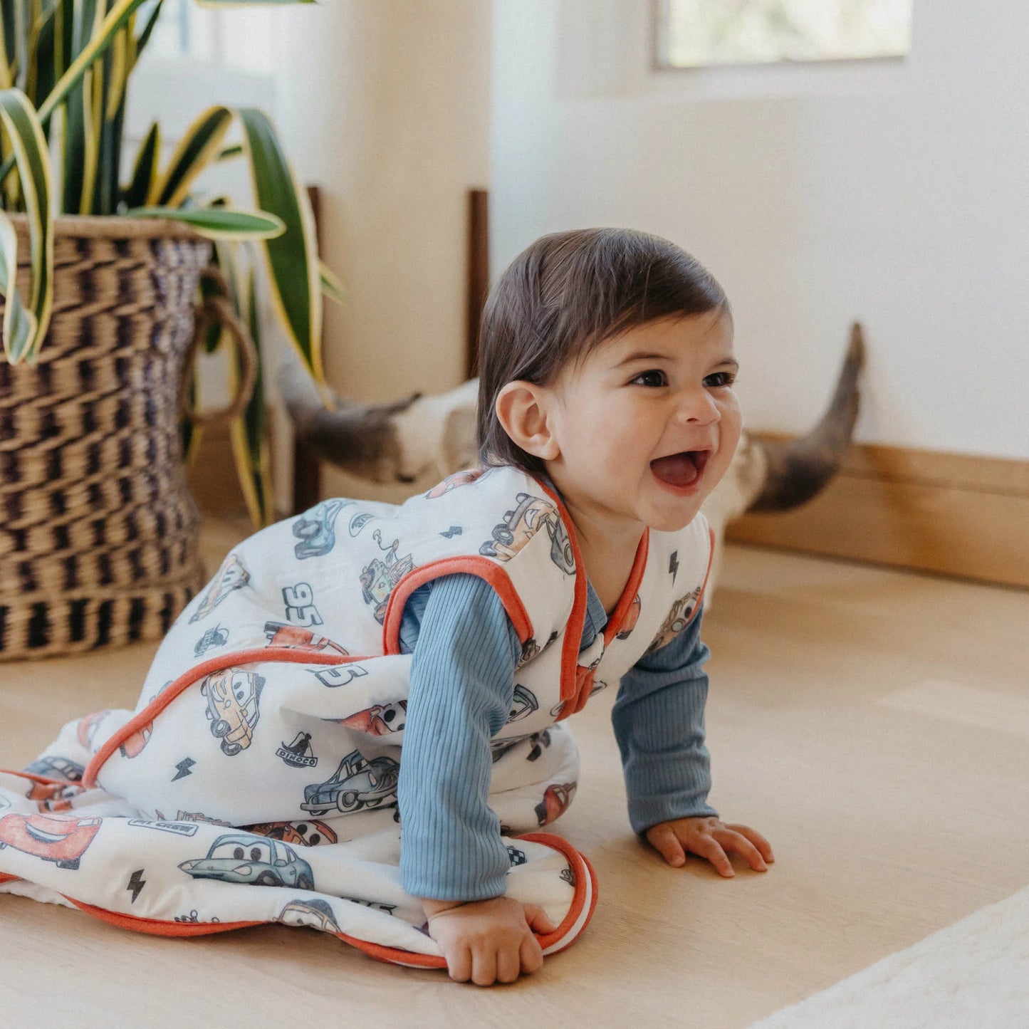 Pixar Cars Sleep Bag