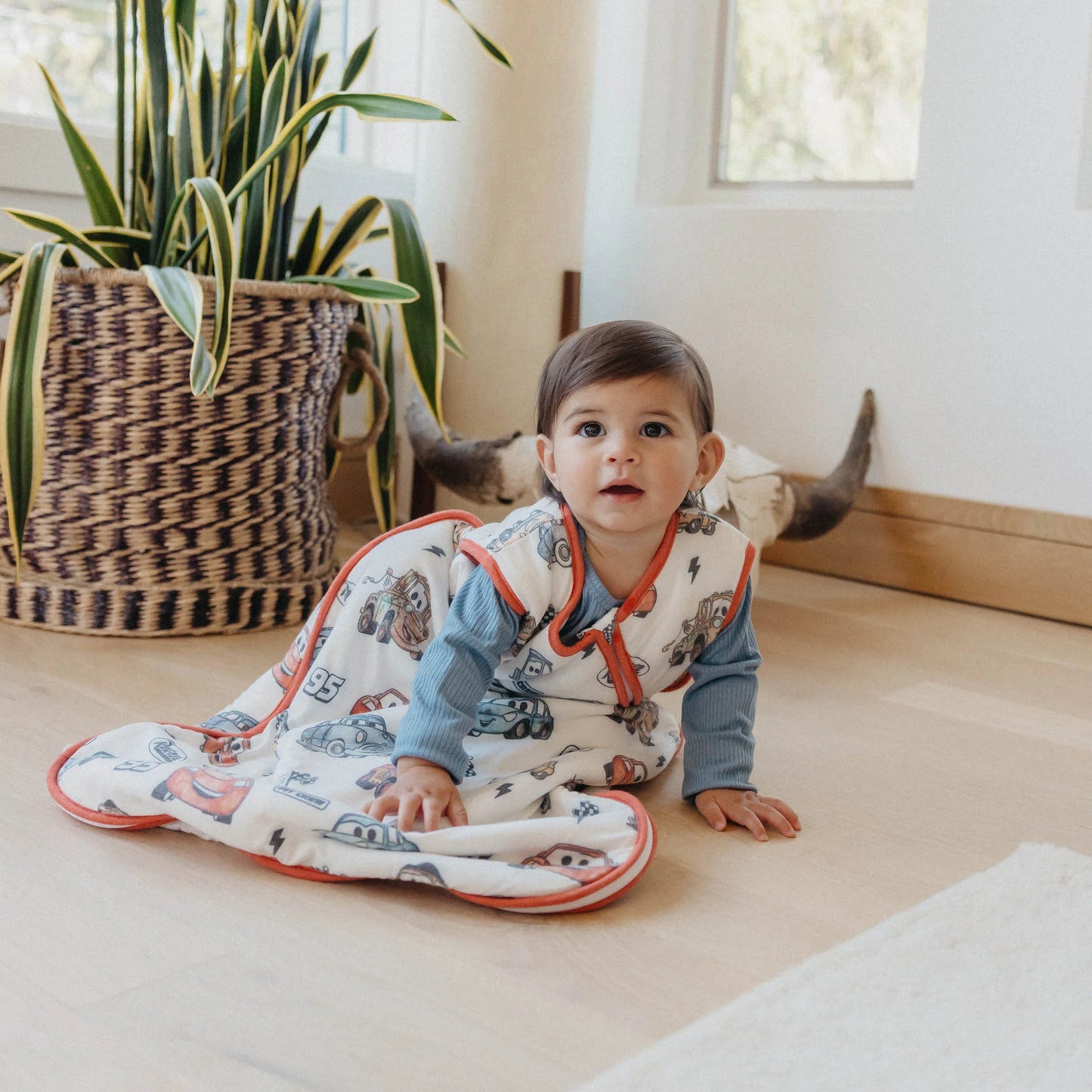 Pixar Cars Sleep Bag