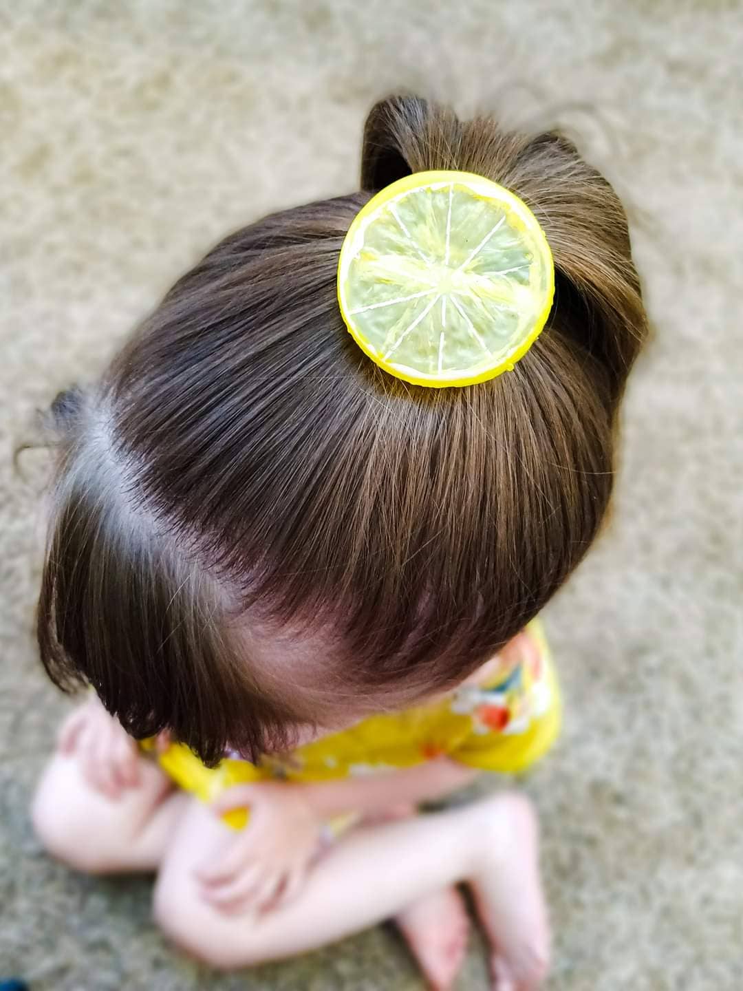 Lime Fruit Slice Hair Clip