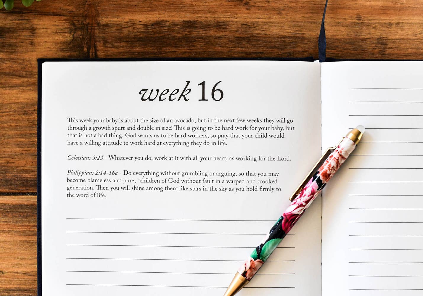 Dear Baby: A Pregnancy Journal