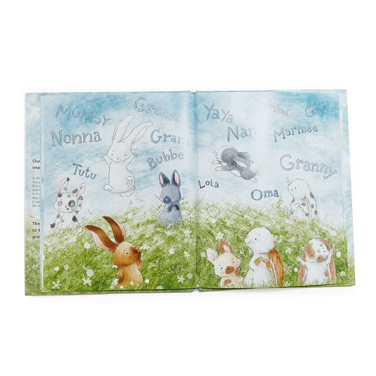 What Will My Grandchild Call Me? Story book