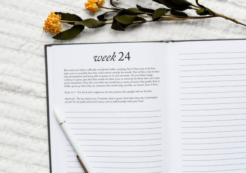 Dear Baby: A Pregnancy Journal