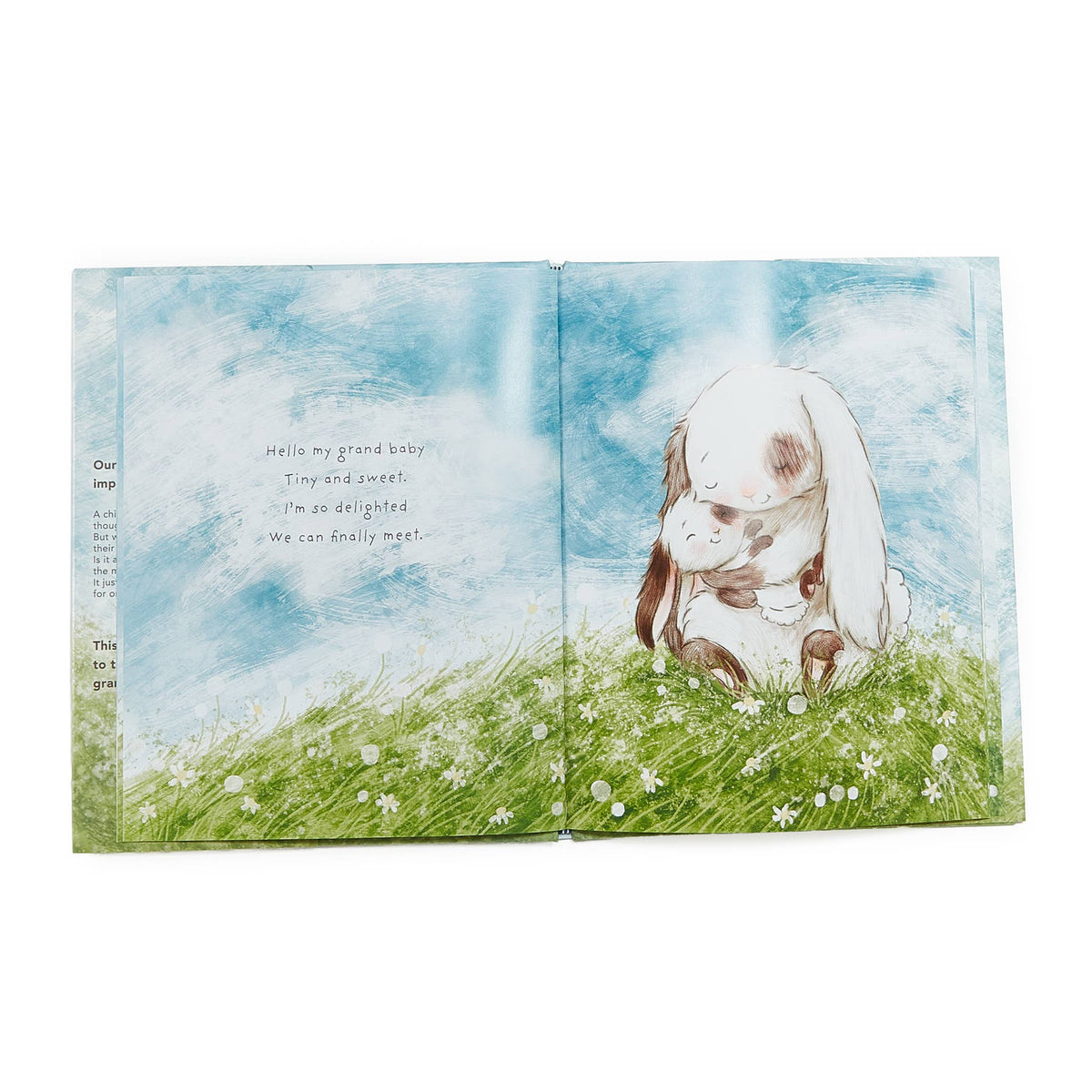 What Will My Grandchild Call Me? Story book