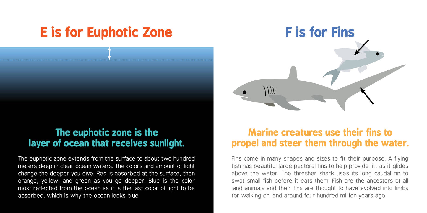 ABCs of Oceanography