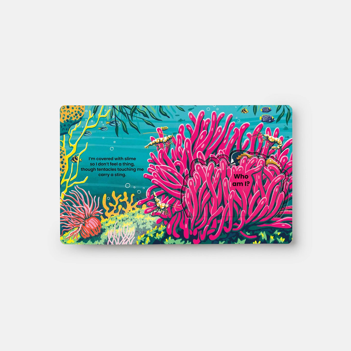 WHO'S HIDING? Under the Sea: A Lift-the-Flap Book