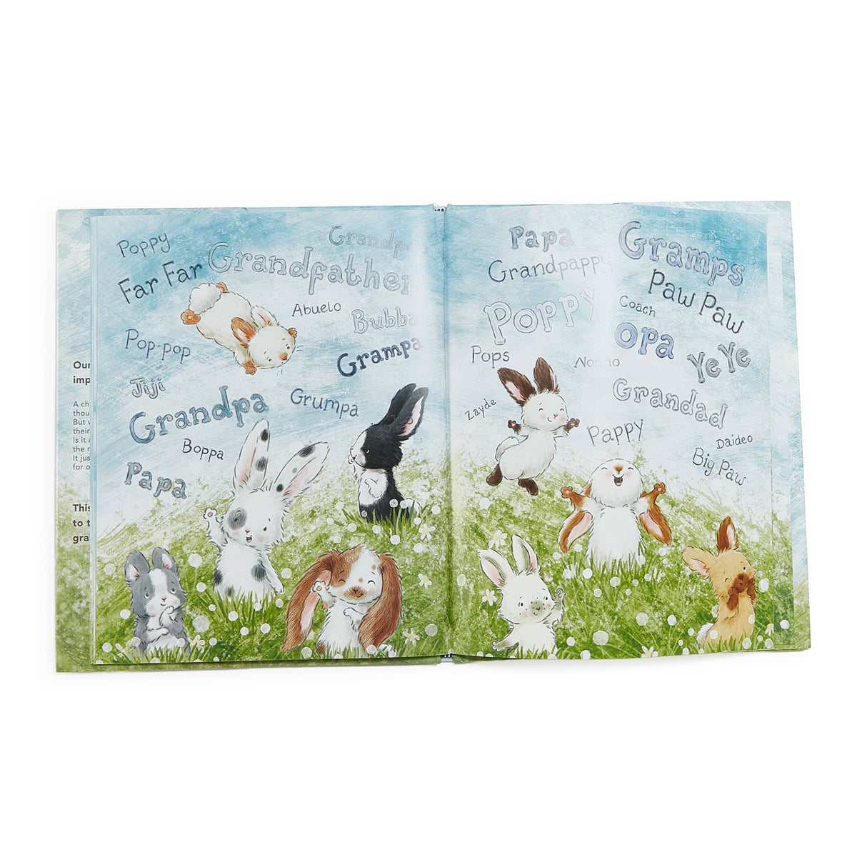 What Will My Grandchild Call Me? Story book