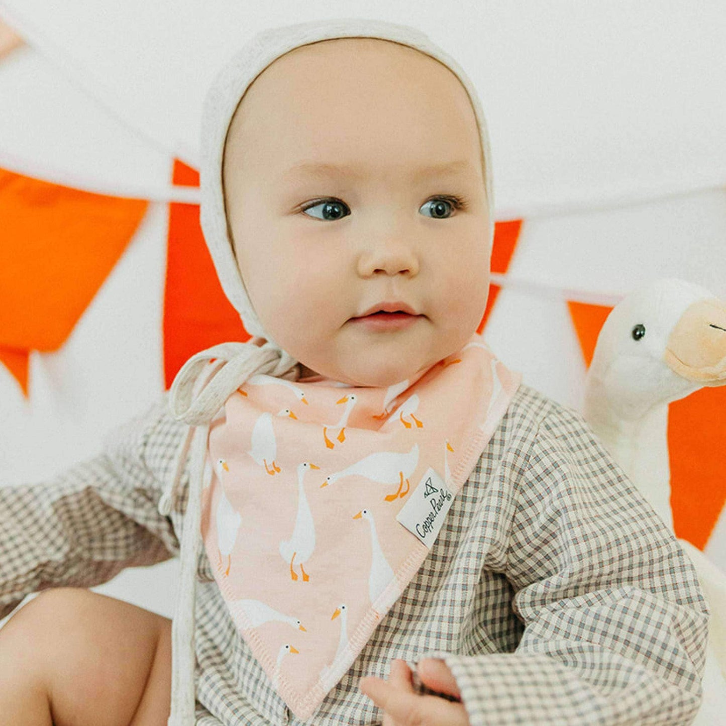 Goosie Baby Bandana Bib Set