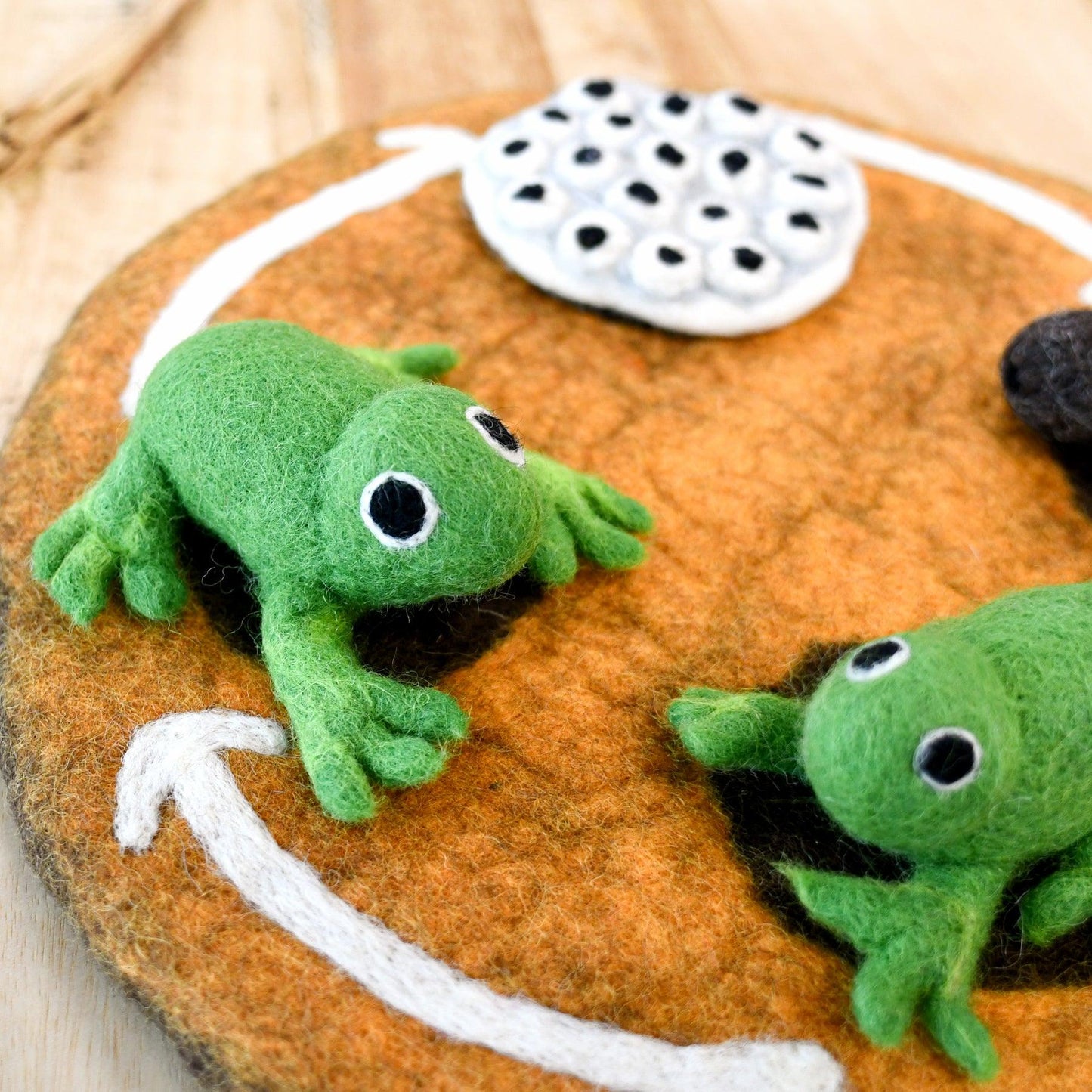 Felt Life Cycle of a Frog