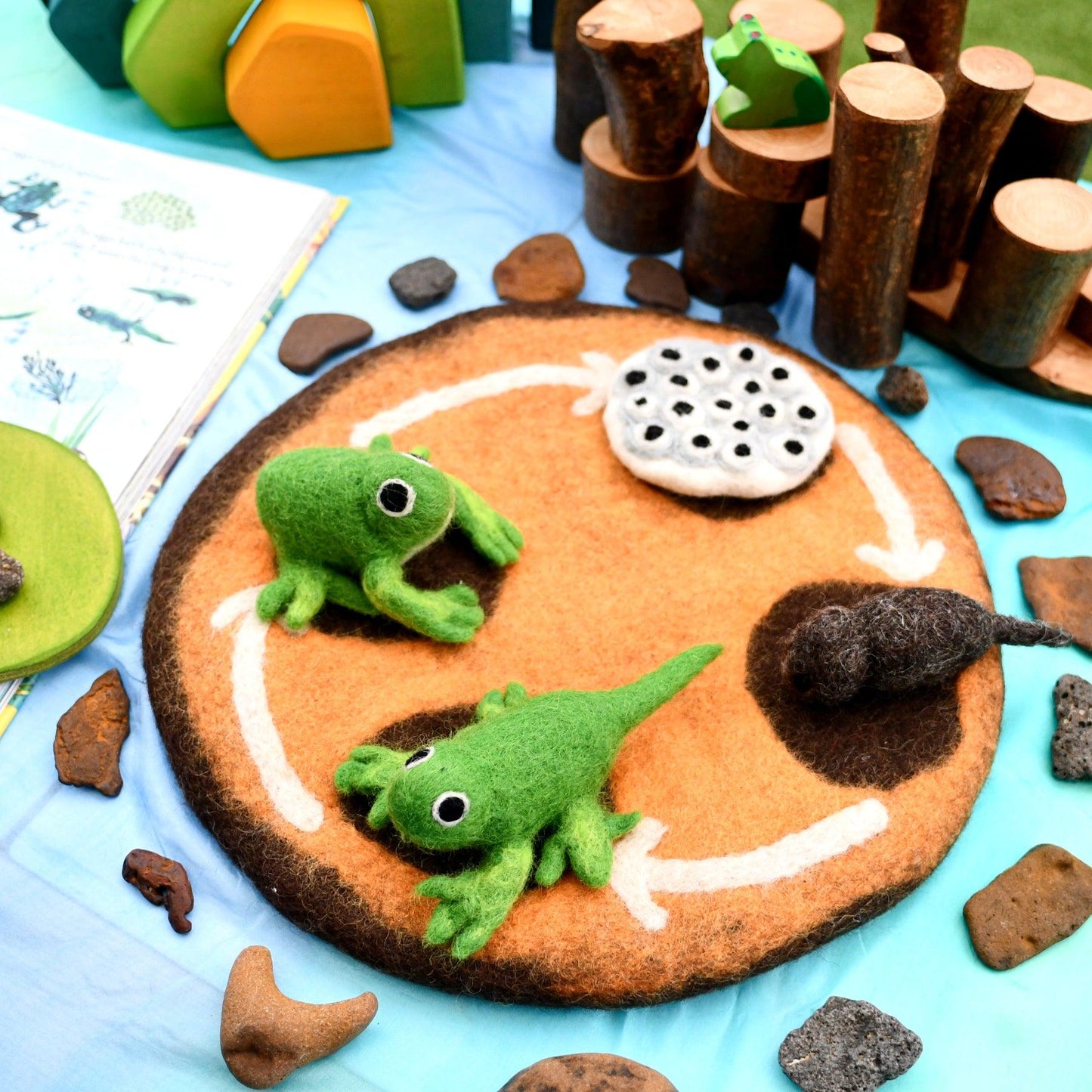 Felt Life Cycle of a Frog