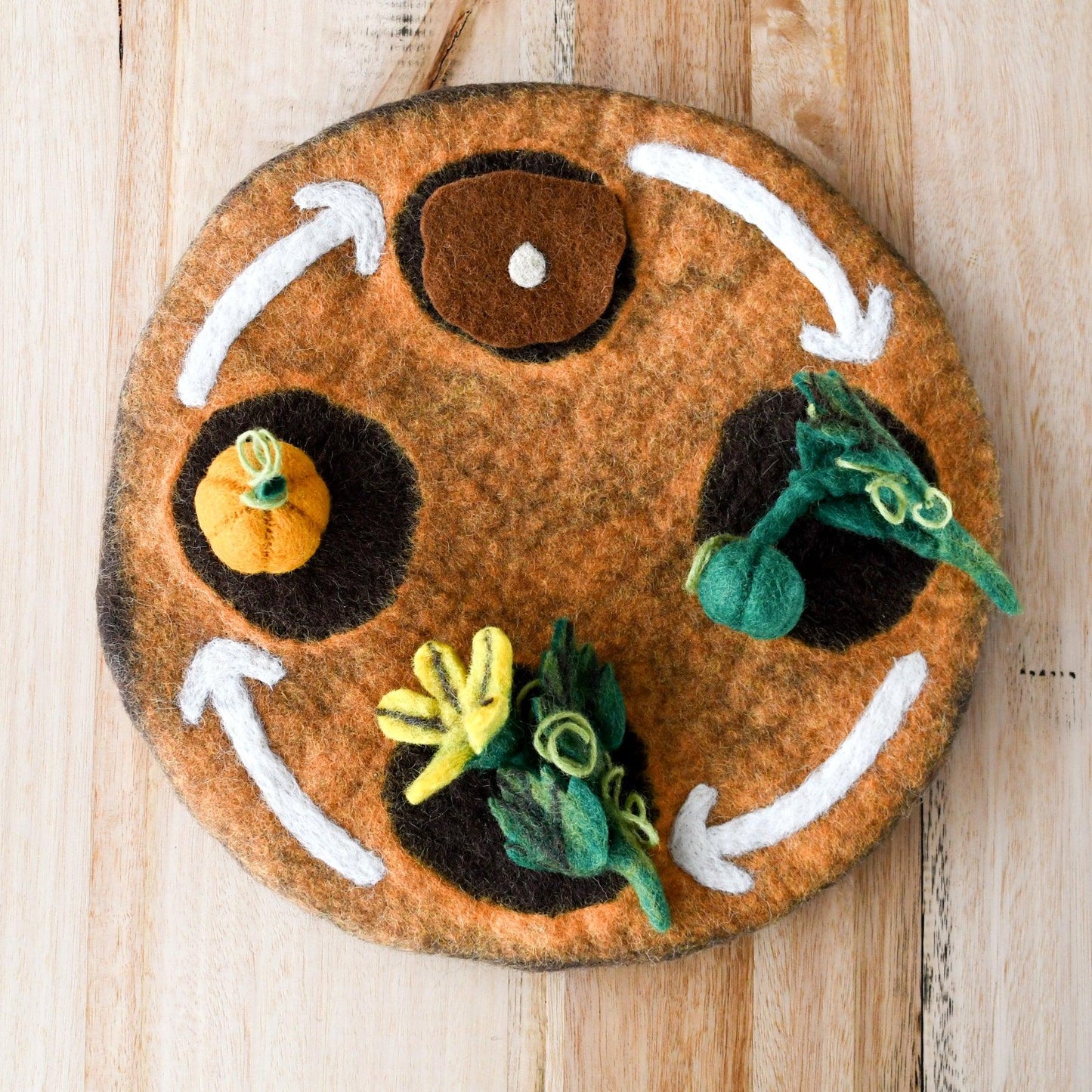 Felt Life Cycle of a Pumpkin